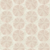 York Sea Biscuit Peach Sand Dollar Wallpaper
