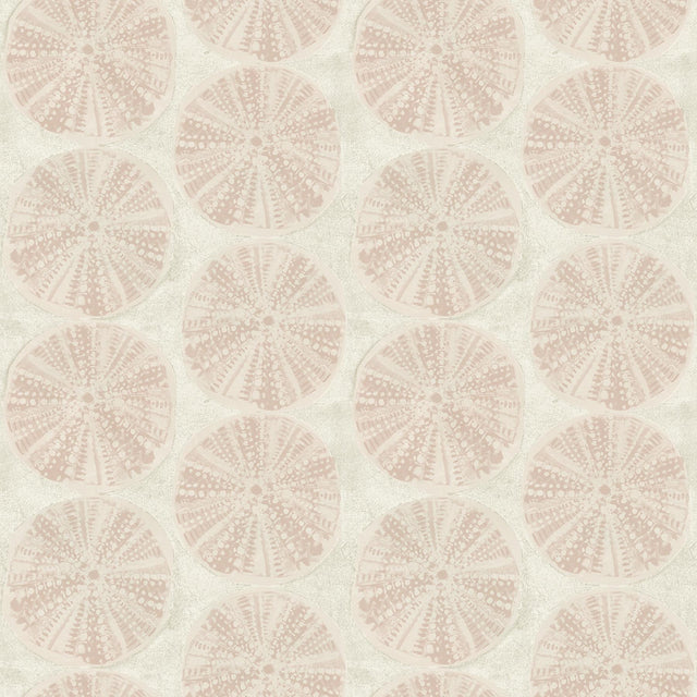 York Sea Biscuit Peach Sand Dollar Wallpaper