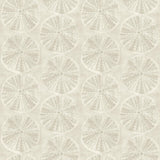 York Sea Biscuit Beige Sand Dollar Wallpaper