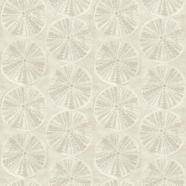 York Sea Biscuit Beige Sand Dollar Wallpaper