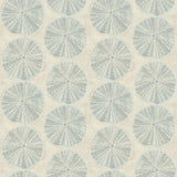 York Sea Biscuit Aqua Sand Dollar Wallpaper