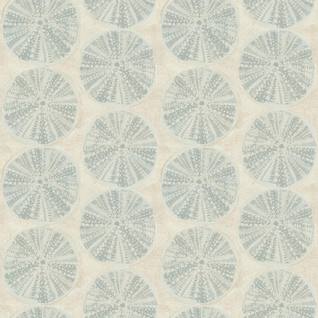 York Sea Biscuit Aqua Sand Dollar Wallpaper