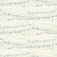 York Rannell Aqua Abstract Scallop Wallpaper