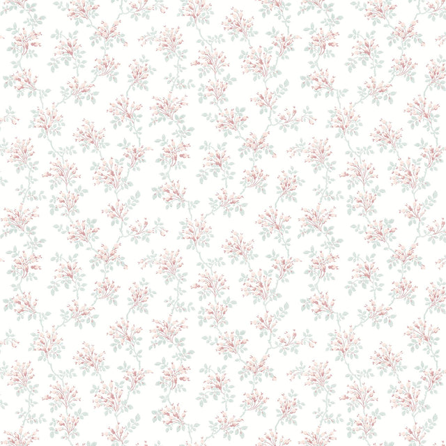 York Sofiane Blush Botanical Trail Wallpaper