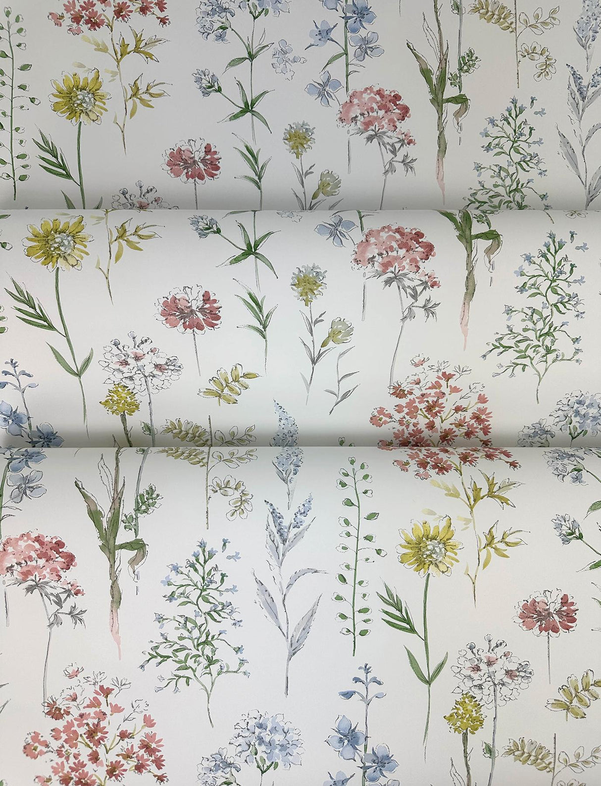 York Bergamot Multicolor Wildflower Wallpaper