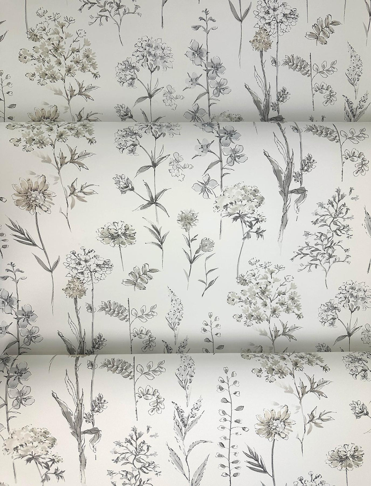 York Bergamot Light Grey Wildflower Wallpaper