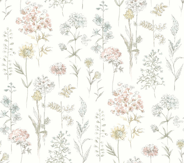York Bergamot Pastel Wildflower Wallpaper