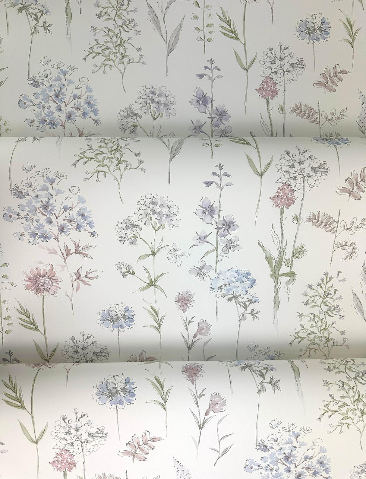 York Bergamot Lavender Wildflower Wallpaper