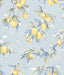 York Lemonade Light Blue Citrus Wallpaper