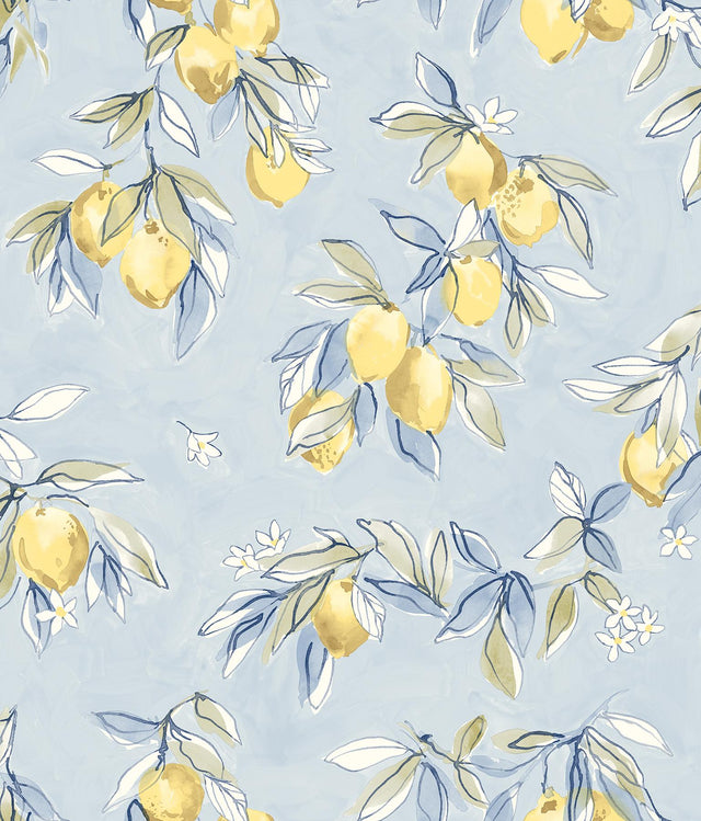 York Lemonade Light Blue Citrus Wallpaper