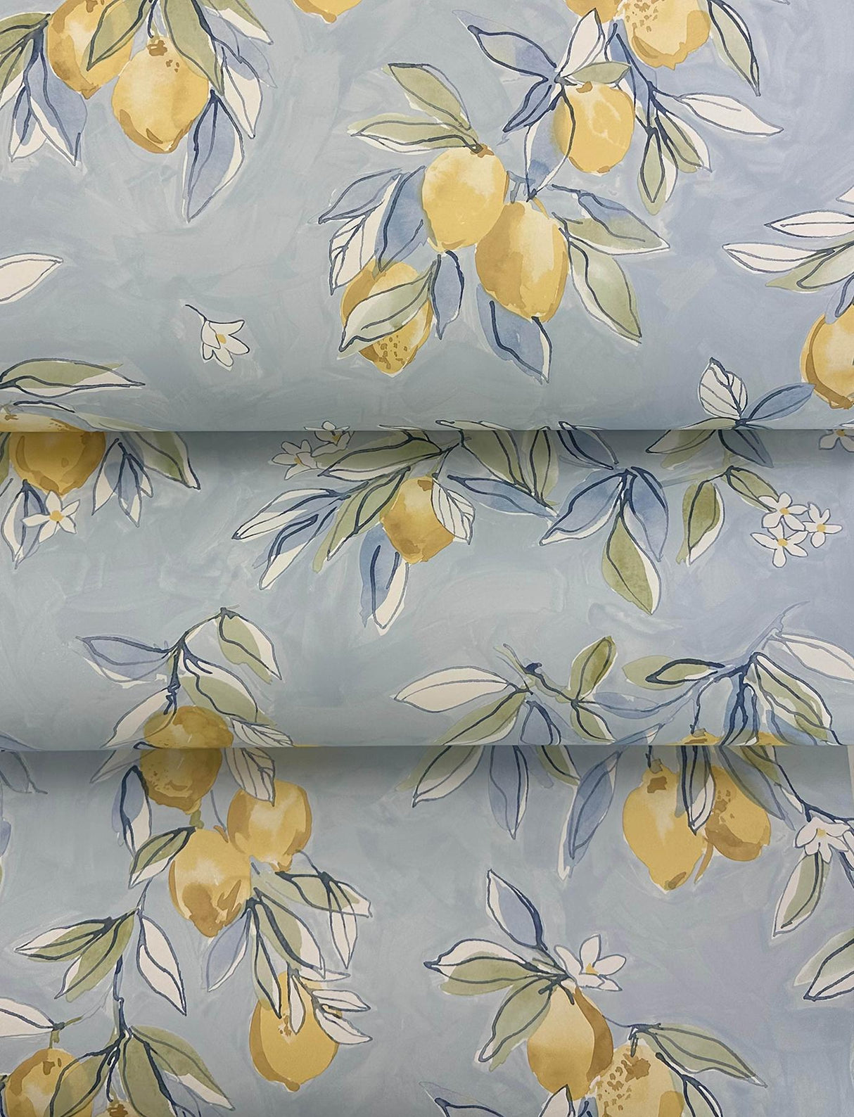 York Lemonade Light Blue Citrus Wallpaper