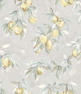 York Lemonade Charcoal Citrus Wallpaper