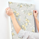 York Lemonade Charcoal Citrus Wallpaper