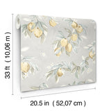 York Lemonade Charcoal Citrus Wallpaper