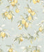 York Lemonade Aqua Citrus Wallpaper