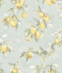 York Lemonade Aqua Citrus Wallpaper