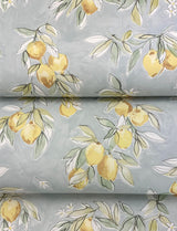 York Lemonade Aqua Citrus Wallpaper
