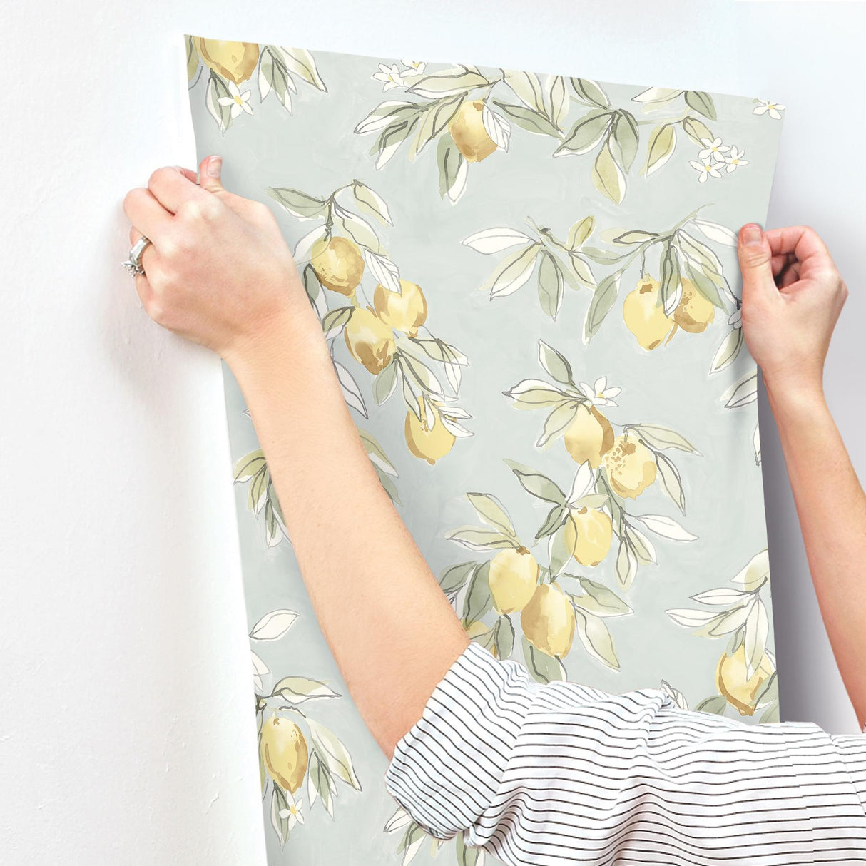 York Lemonade Aqua Citrus Wallpaper