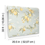 York Lemonade Aqua Citrus Wallpaper