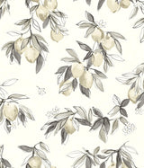 York Lemonade Grey Citrus Wallpaper