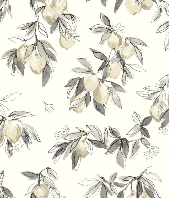 York Lemonade Grey Citrus Wallpaper