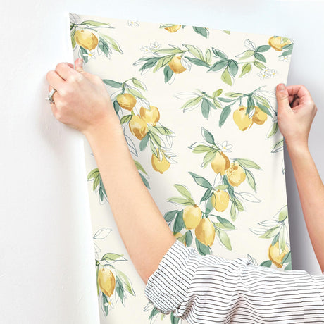 York Lemonade Yellow Citrus Wallpaper