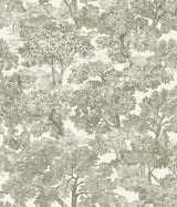 York Spinney Green Toile Wallpaper