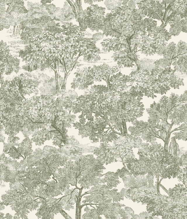 York Spinney Green Toile Wallpaper
