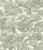 York Spinney Green Toile Wallpaper