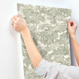 York Spinney Green Toile Wallpaper