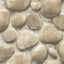 York Root Rock Beige Wallpaper