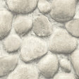 York Root Rock Brown Wallpaper