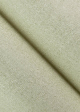 York Kameez Green Texture Wallpaper