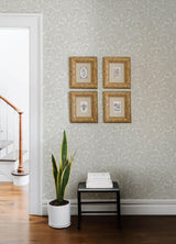 York Chrysantha Light Grey Berry Branches Wallpaper