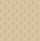 York Surdiva Honey Floral Fan Wallpaper