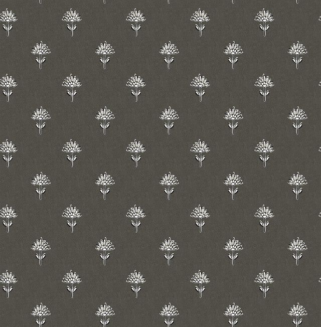 York Surdiva Black Floral Fan Wallpaper