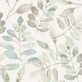 York Pinnate Mint Leaves Wallpaper