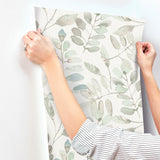 York Pinnate Mint Leaves Wallpaper