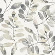 York Pinnate Charcoal Leaves Wallpaper