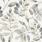 York Pinnate Charcoal Leaves Wallpaper