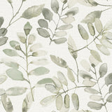 York Pinnate Green Leaves Wallpaper