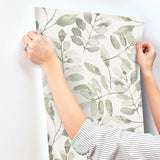 York Pinnate Green Leaves Wallpaper
