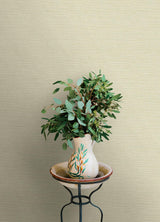 York Agave Neutral Faux Grasscloth Wallpaper