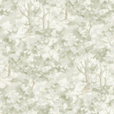York Thicket Sage Forest Wallpaper