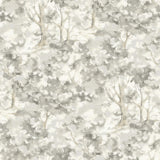 York Thicket Charcoal Forest Wallpaper