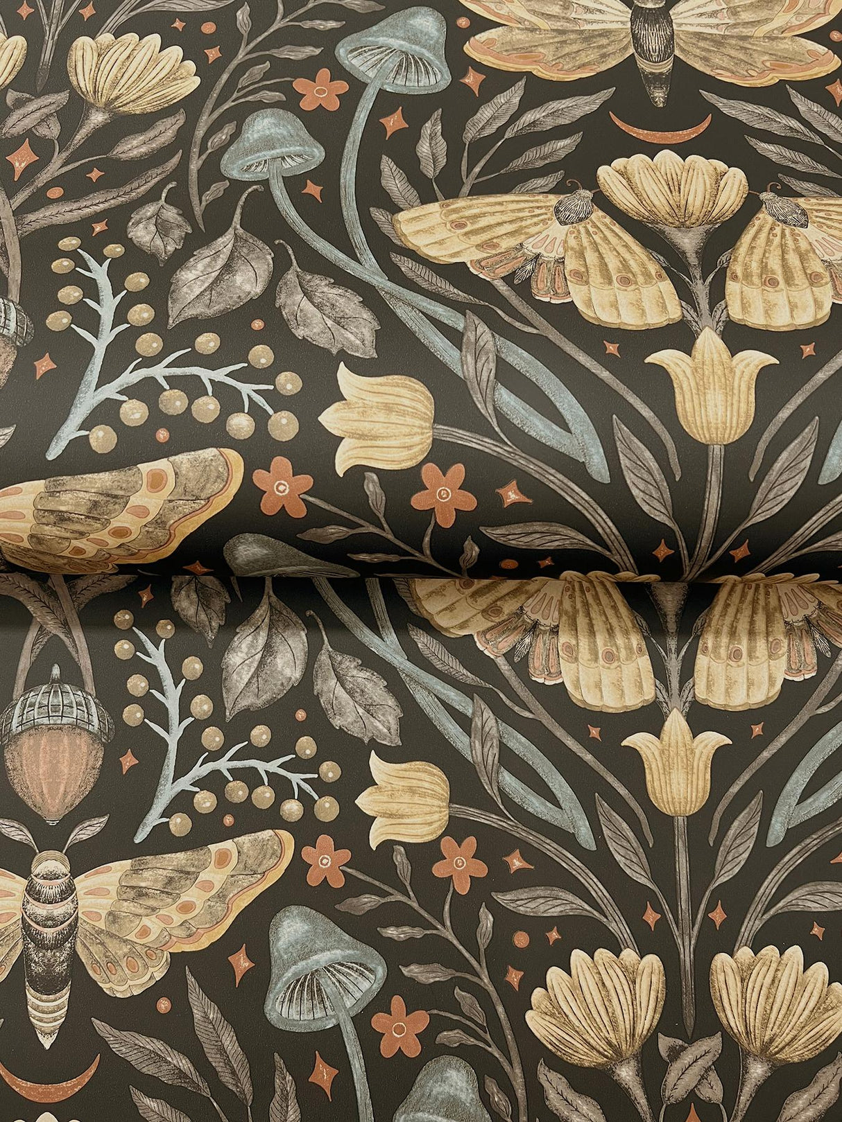 York Mystic Moth Black Forest Magic Wallpaper