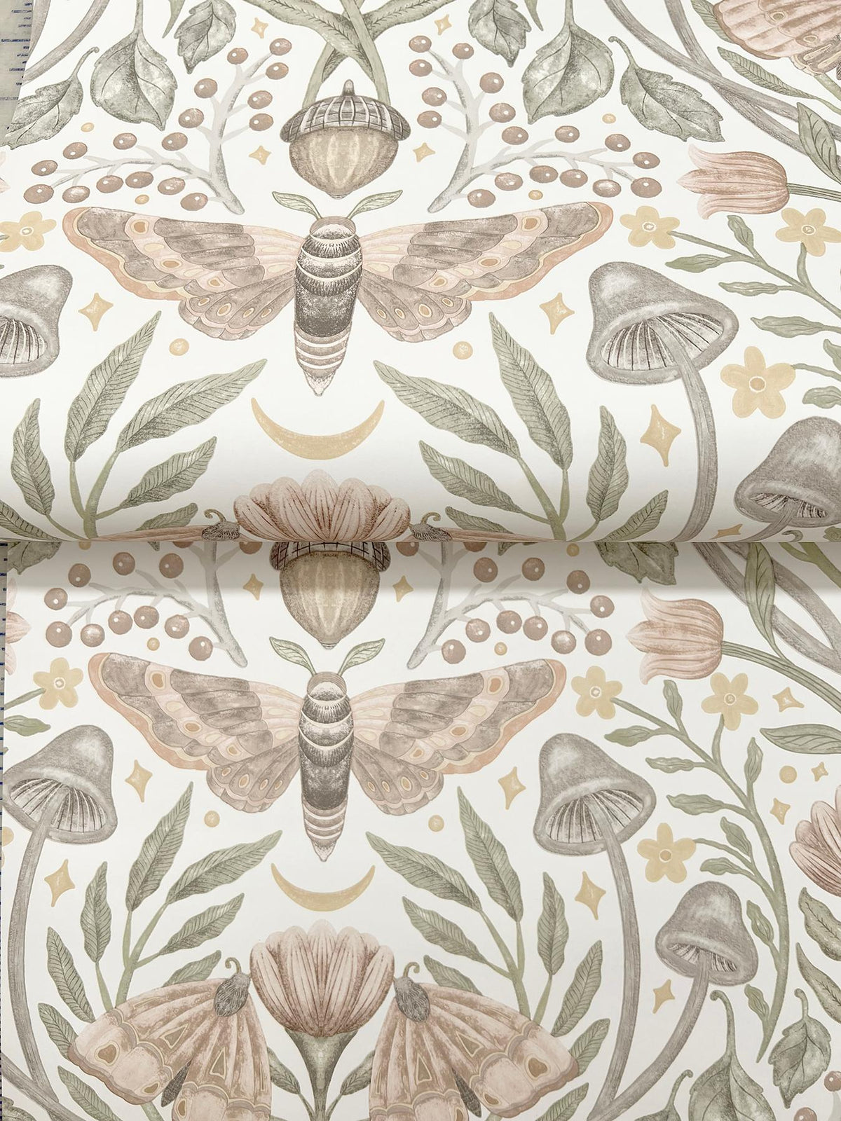 York Mystic Moth Blush Forest Magic Wallpaper
