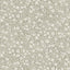 York Poppy Trail Grey Floral Wallpaper