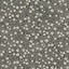 York Poppy Trail Black Floral Wallpaper