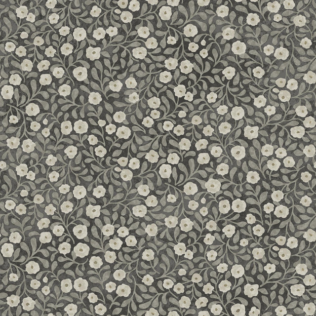 York Poppy Trail Black Floral Wallpaper